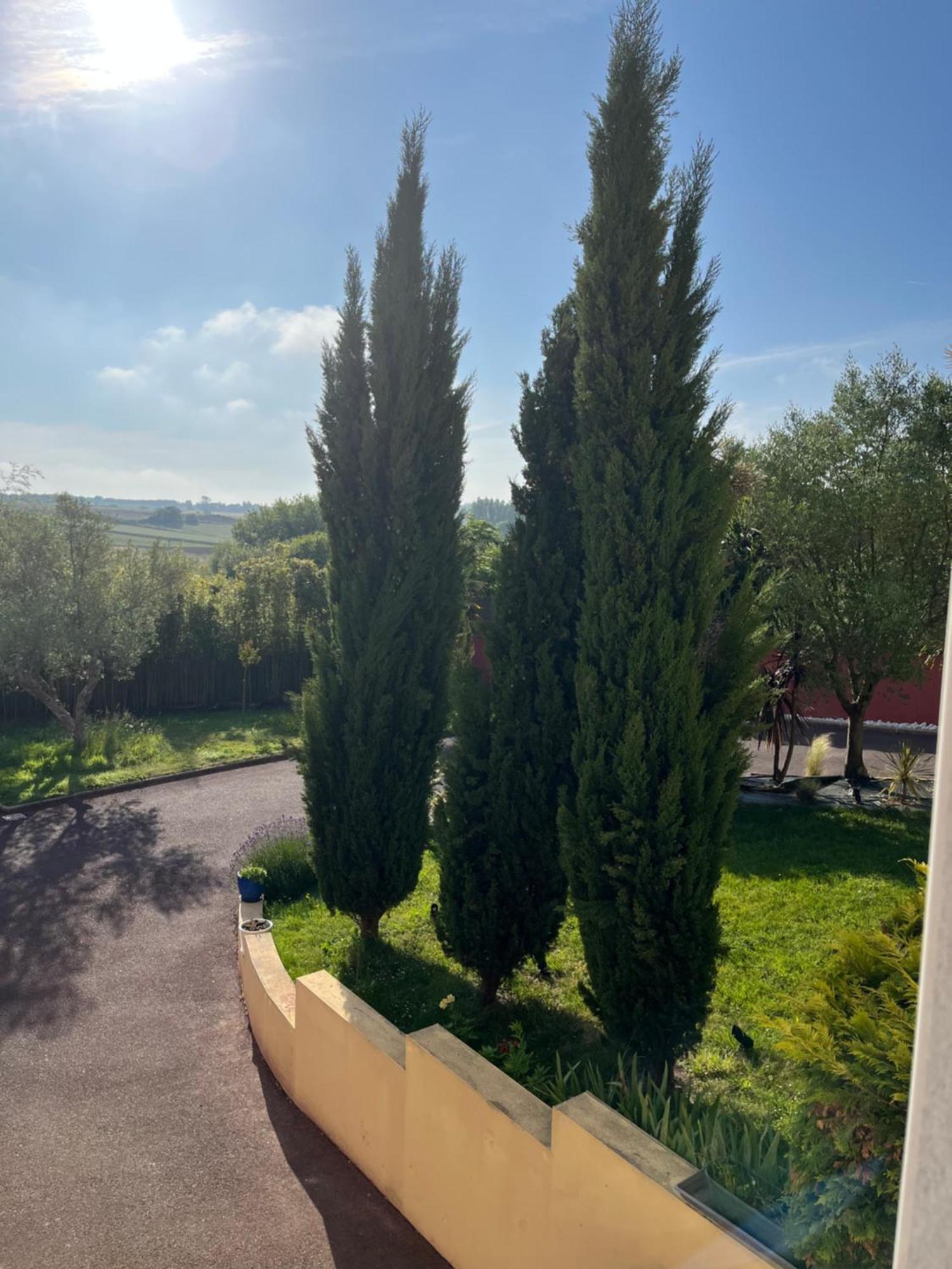 Le Clos Du Lupin Saint-Coulomb Εξωτερικό φωτογραφία