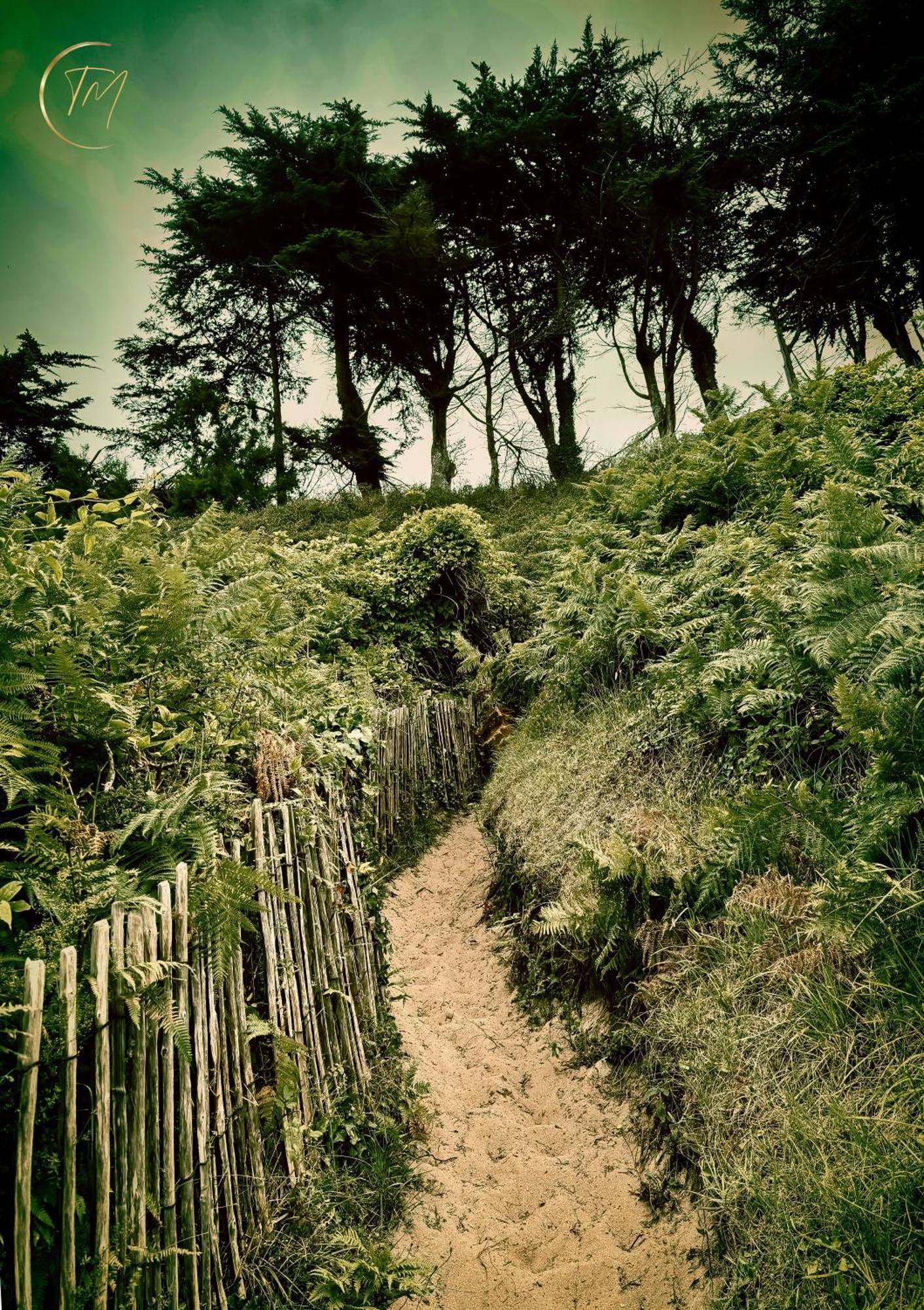 Le Clos Du Lupin Saint-Coulomb Εξωτερικό φωτογραφία